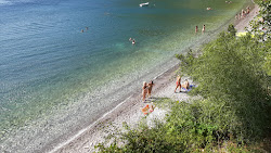 Foto von Dafni of Evia beach mit sehr sauber Sauberkeitsgrad