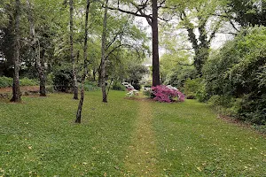 Racheff Park & Garden image