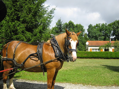 ATTEL'CRIN à Saint-André-de-Lidon