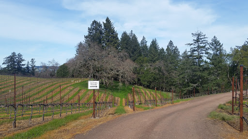 Winery «Fort Ross Vineyard Tasting Room», reviews and photos, 15725 Meyers Grade Rd, Jenner, CA 95450, USA