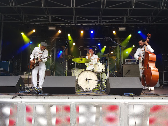 Roots- en bluesfestival Goezot in't Hofke