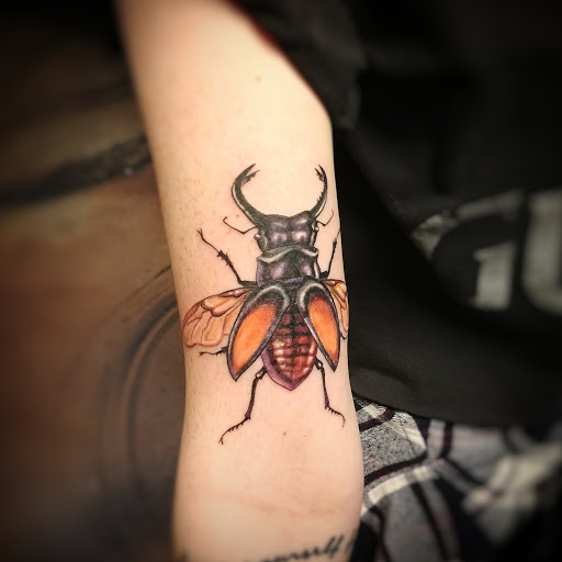 Tattoo Shop «Nevermore Tattoo studio», reviews and photos, 1048 SW Port St Lucie Blvd, Port St Lucie, FL 34953, USA