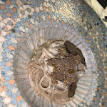 Photo n°2 de l'avis de Laura.u fait le 29/11/2022 à 20:51 sur le  Le Quattro Sorelle Palmeri Ristorante Noto à Noto