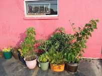 Metterville Pest Management LLC - Photo 1 - Car repair in Spencer, MA, Worcester