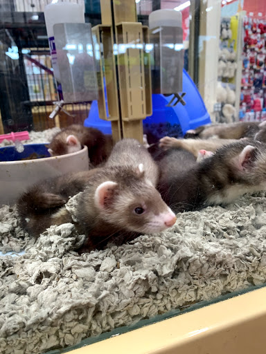 Pet Supply Store «Pet Supermarket, Inc.», reviews and photos, 598 N McCarran Blvd, Sparks, NV 89431, USA