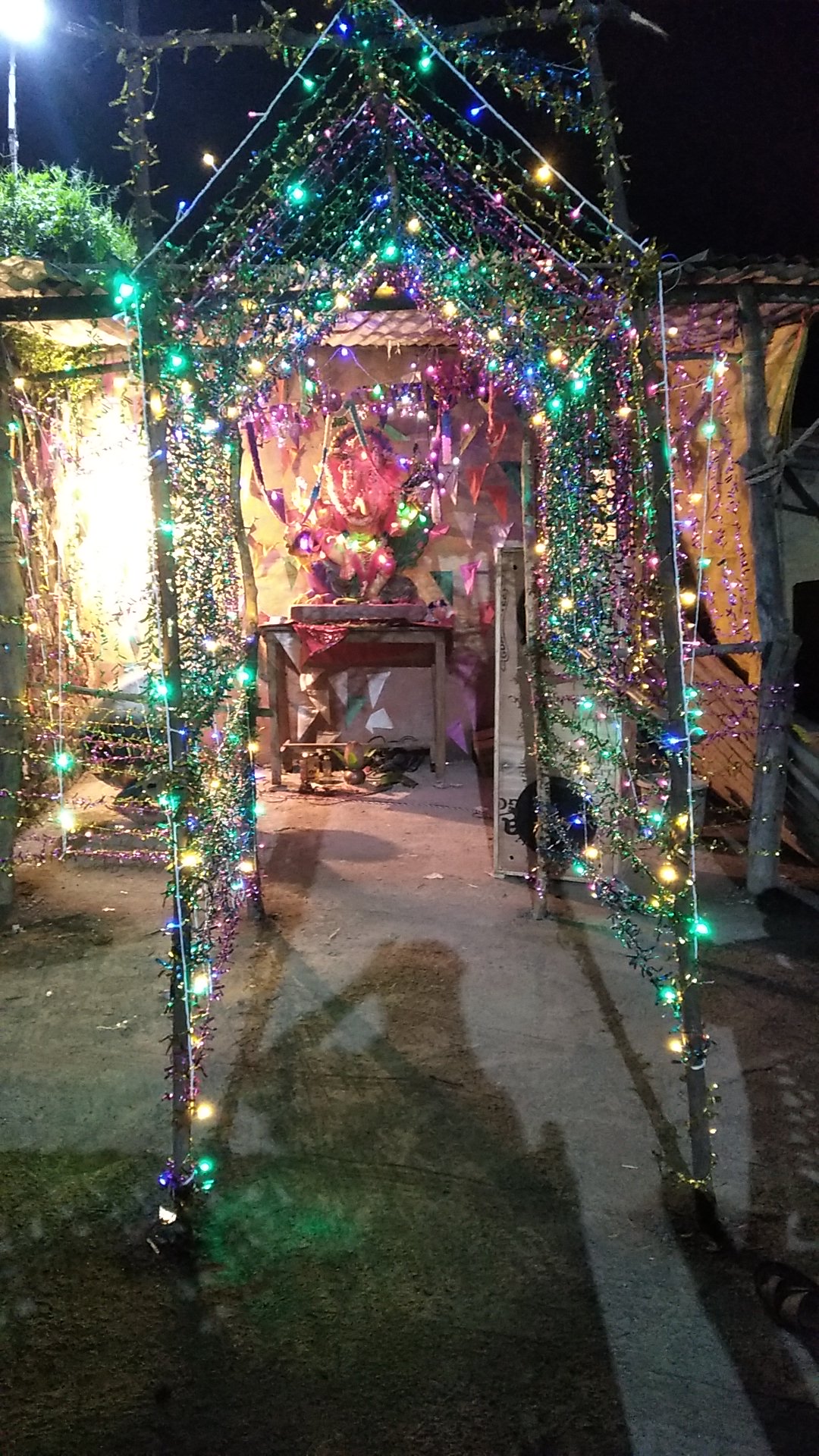 विघ्नहर्ता सार्वजनिक गणेश मंडळ