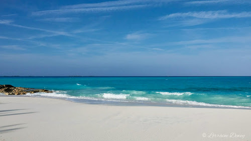 Prime cut beach photo #2
