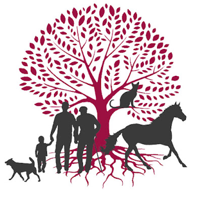 Communication Animale & Soins Energétiques - Chloé Jacquemin - Drôme à Livron-sur-Drôme