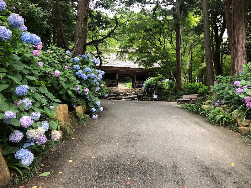 阿弥陀寺