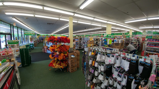 Dollar Store «Dollar Tree», reviews and photos, 446 Putnam Pike, Greenville, RI 02828, USA