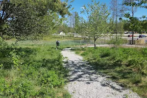 Dog park - Hökmossebadet image
