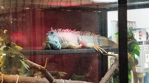 Museum «Insectropolis», reviews and photos, 1761 U.S. 9, Toms River, NJ 08755, USA