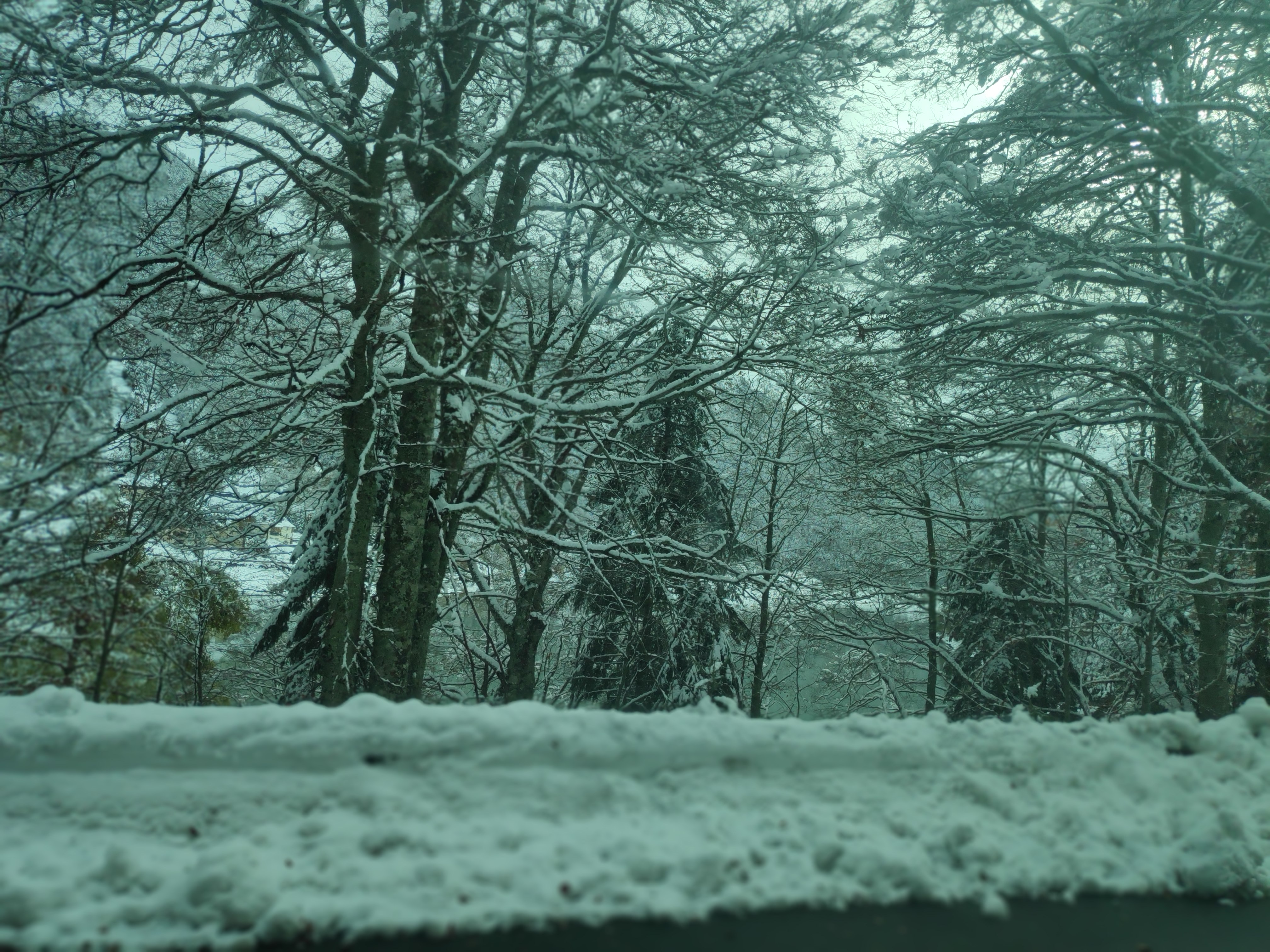 Photo n° 7 de l'avis de ZerK1nG. fait le 11/11/2019 à 14:53