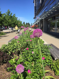 The Silent Gardener Ltd. - Photo 9 - Car repair in New Westminster, BC, Canada, Bellingham
