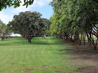 National Botanical Gardens