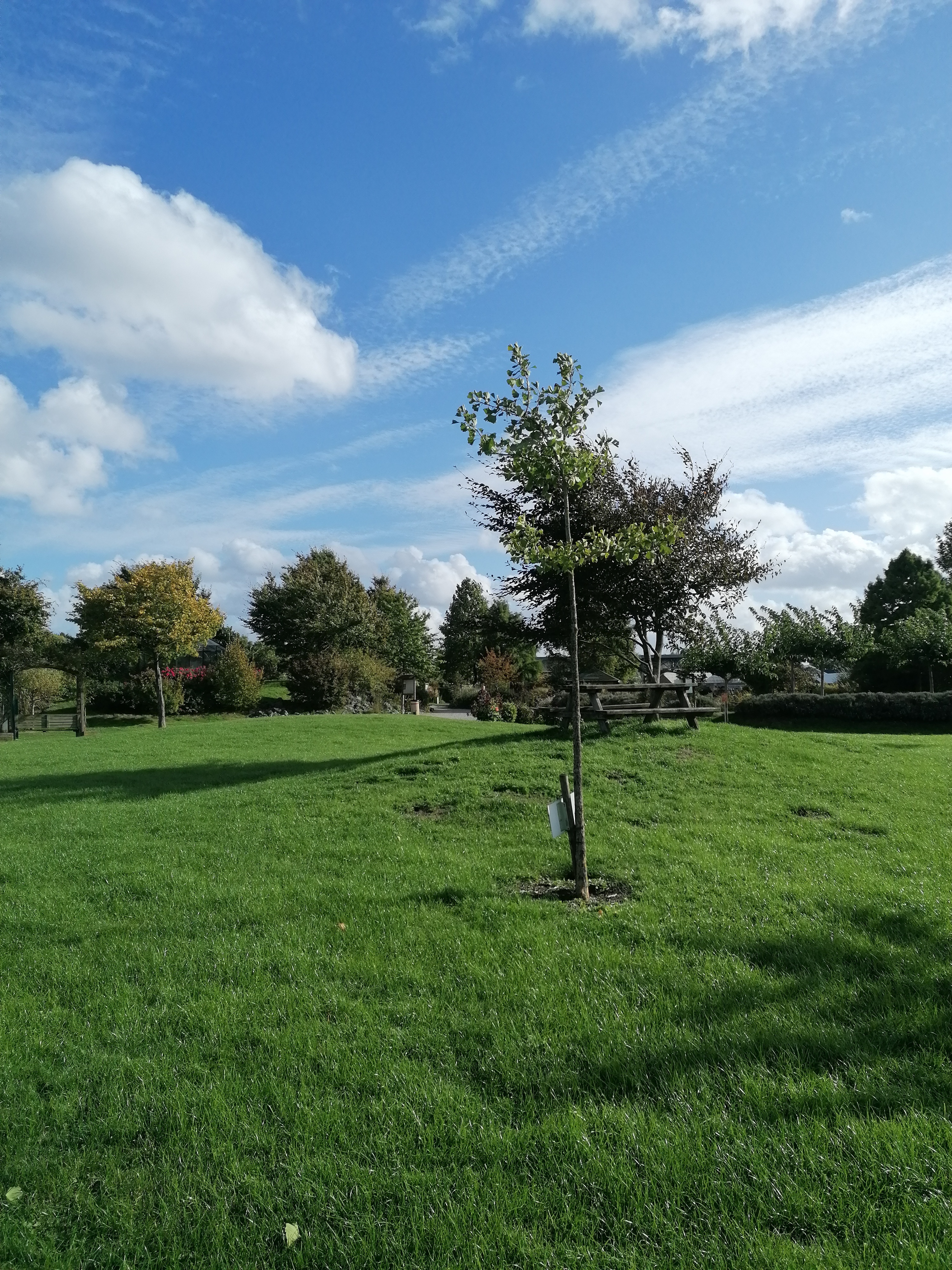 Photo n° 14 de l'avis de K. fait le 01/10/2022 à 21:28