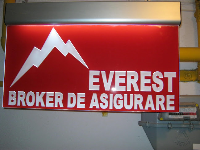 Opinii despre Everest Broker în <nil> - Companie de Asigurari