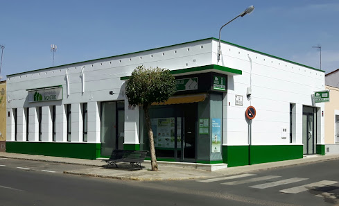 Inmobiliaria Montijo Rda. del Valle, 9, 06480 Montijo, Badajoz, España