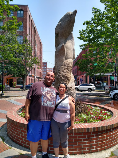 DVD Store «Bull Moose», reviews and photos, 151 Middle St, Portland, ME 04101, USA