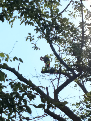 Nature Preserve «Glendale Shoals Preserve», reviews and photos, Emma Cudd Rd, Spartanburg, SC 29302, USA