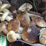 Photo n°5 de l'avis de Mario.a fait le 07/03/2018 à 13:10 sur le  Trattoria Al Valico à Fontanigorda