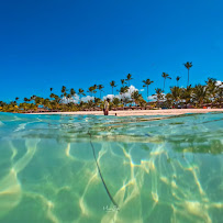 Mario Wills Photography & Designs - Photo 4 - Car repair in , Orlando