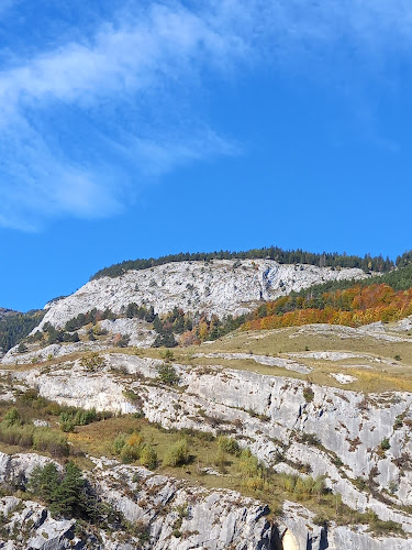 Comentarii opinii despre Chur Lacrosse