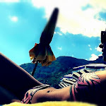 Photo n°7 de l'avis de Mary. fait le 17/07/2020 à 14:01 sur le  Da Ferdinando à Positano