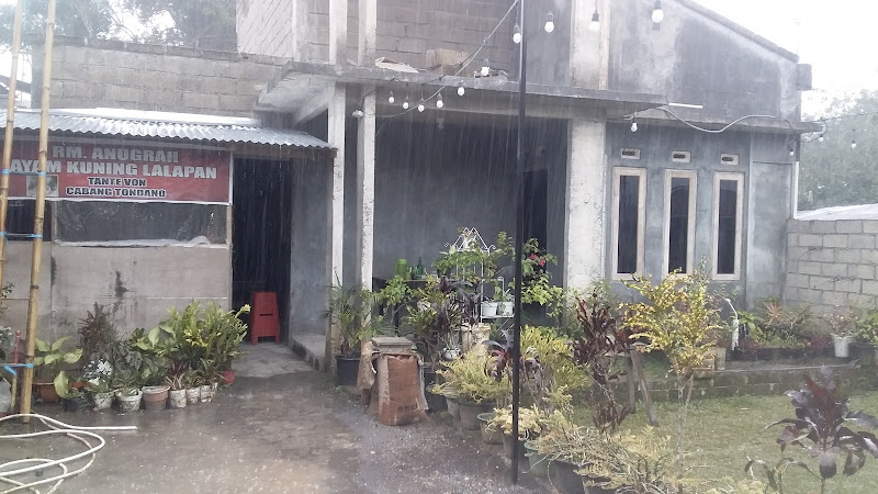 4 Rumah Makan Terkenal di Kabupaten Minahasa: Menikmati Kuliner Lokal yang Menggugah Selera