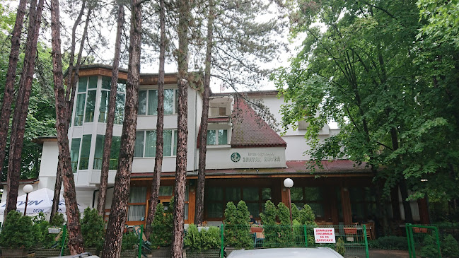 яз, 6137 Копринка