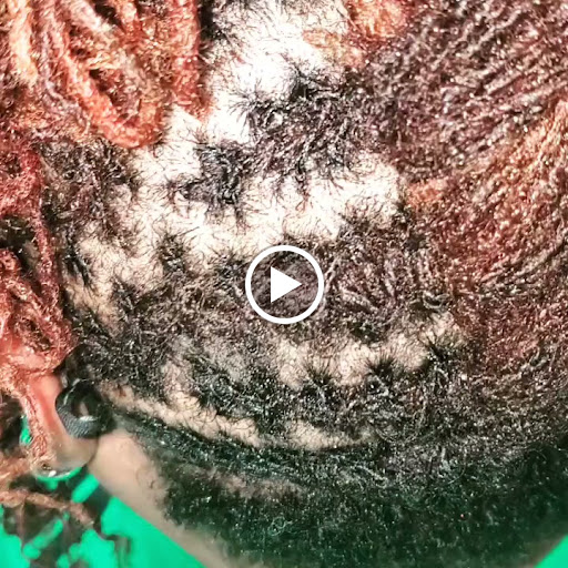 Hairdresser «Ethnic Hair Care Salon», reviews and photos, 210 S Kings Ave, Brandon, FL 33511, USA