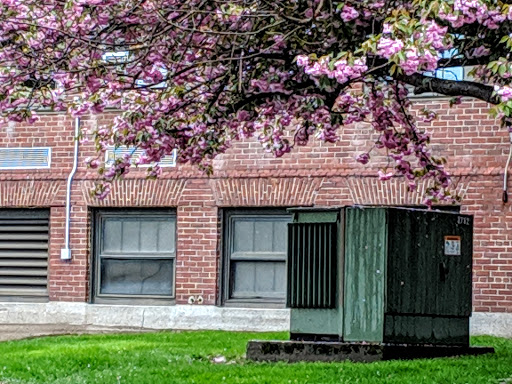 Park «Ward Park», reviews and photos, 57 Orchard St, Marlborough, MA 01752, USA