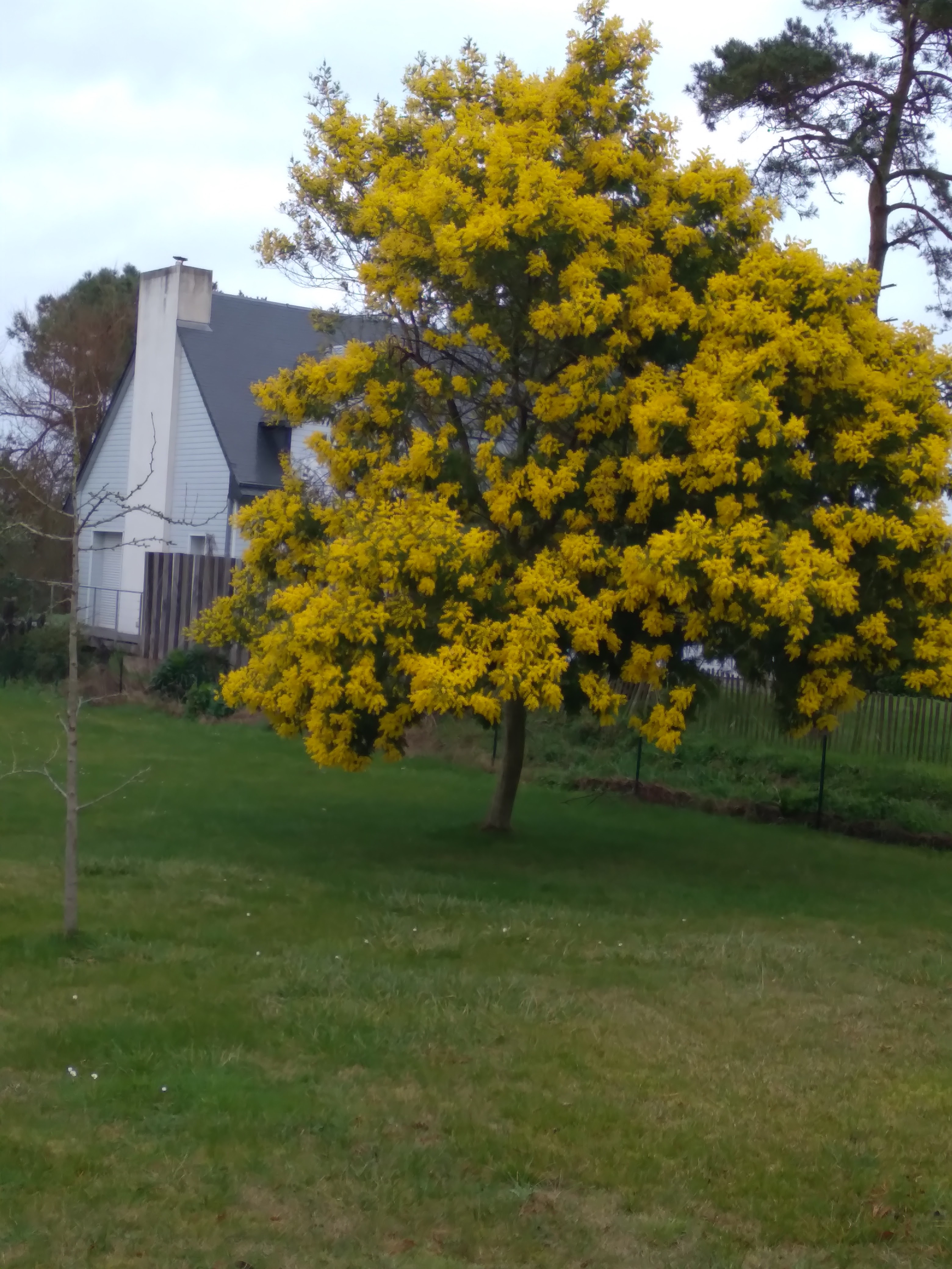 Photo n° 9 de l'avis de Patrick.u fait le 16/02/2022 à 18:48