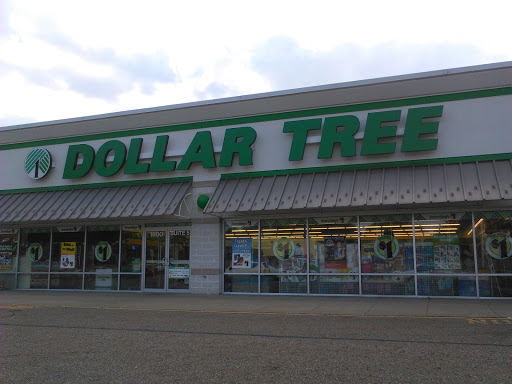 Dollar Store «Dollar Tree», reviews and photos, 2500 OH-59 #32, Kent, OH 44240, USA