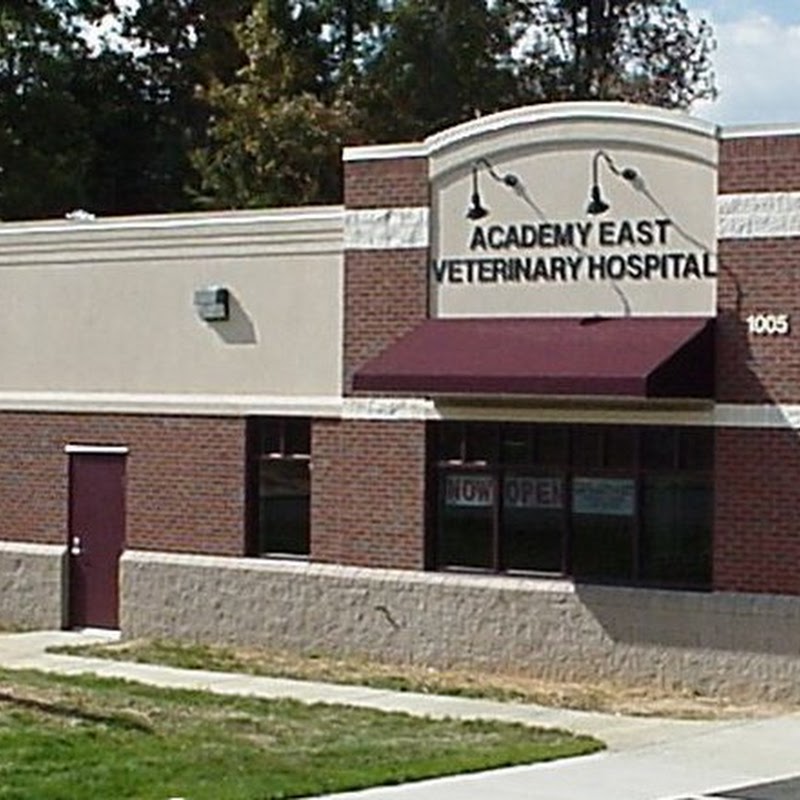 Academy East Veterinary Hospital