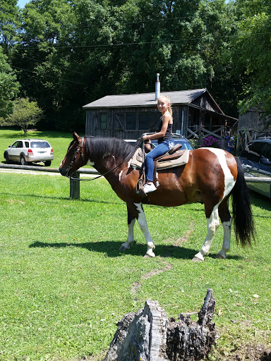 1492 Harding Ave, Tipton, IA 52772, USA