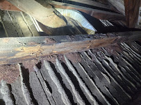 Smith family exterminating - Photo 5 - Car repair in , El Monte