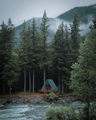 Travel Agency «Travel and Cruise World», reviews and photos, 71 Lake Link Cir SE, Winter Haven, FL 33884, USA