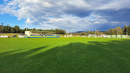 Avondale Wombats Rugby Club