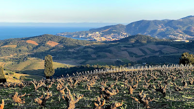 Domaine Sainte Thérèse à Port-Vendres