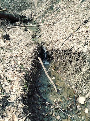 Nature Preserve «Shiprock Woods Nature Preserve», reviews and photos, 2626 Shiprock Rd, Willow Street, PA 17584, USA