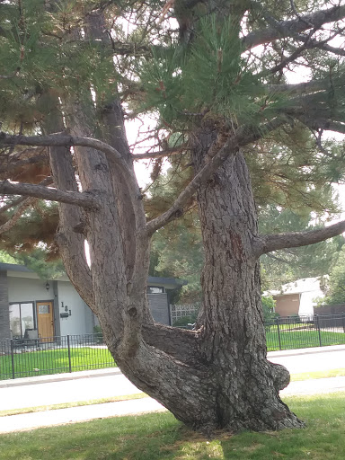 Park «Del Mar Park», reviews and photos, 12000 E 6th Ave, Aurora, CO 80010, USA