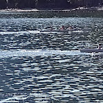 Photo n°5 de l'avis de leonardo.a fait le 26/09/2019 à 18:20 sur le  Lido di Lenno à Lenno