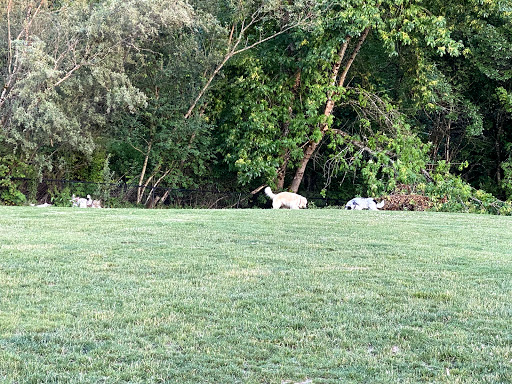 Gabriel Park - Tennis Courts