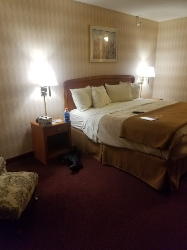 Casino «Dakota Magic Casino», reviews and photos, 16849 102nd St SE, Hankinson, ND 58041, USA