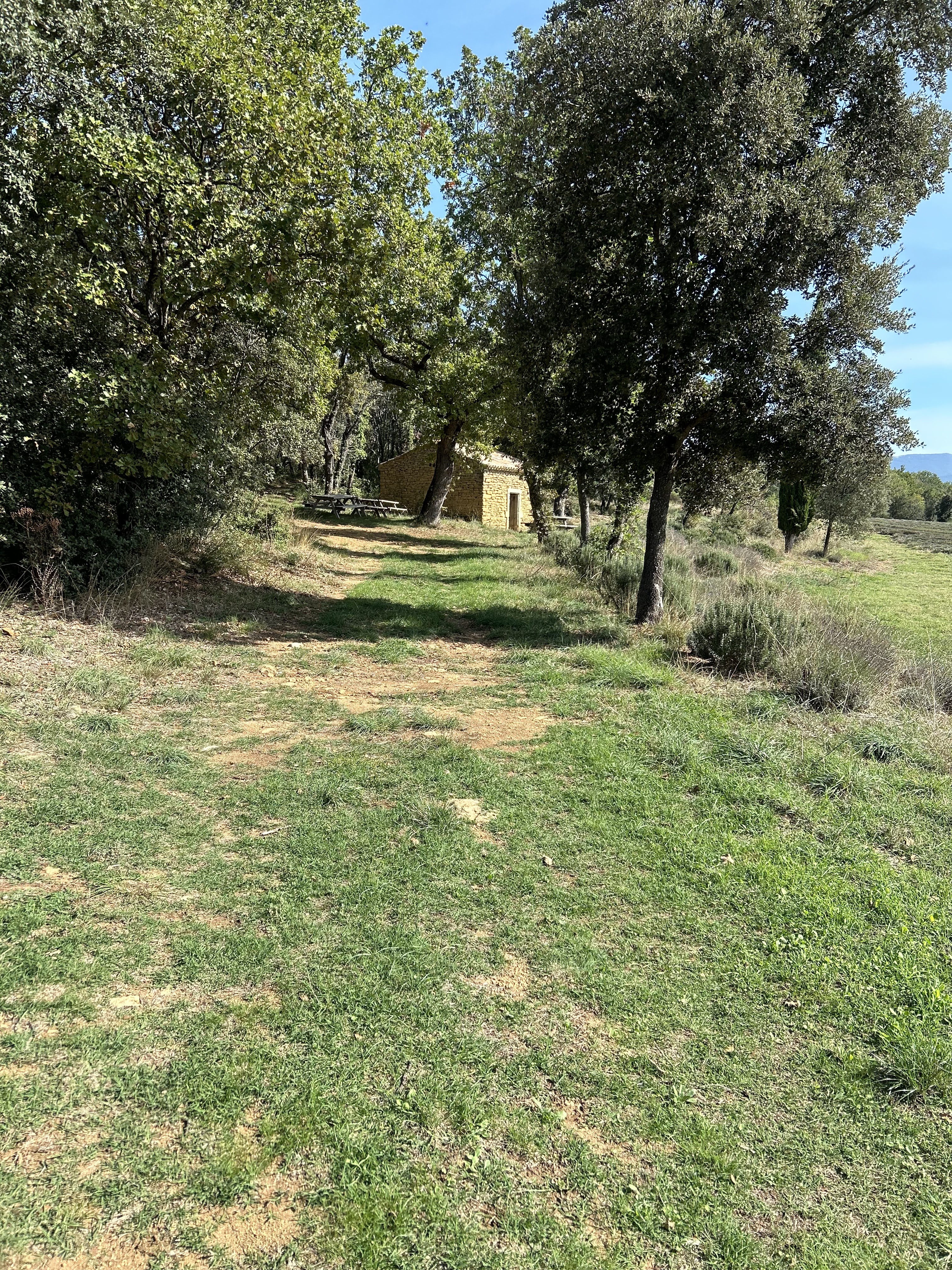 Photo n° 1 de l'avis de Myriam.e fait le 02/10/2023 à 14:07