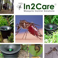 The Green Bug Man - Photo 8 - Car repair in , Pearland