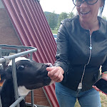 Photo n°6 de l'avis de Maria.e fait le 12/06/2022 à 14:44 sur le  FATTORIA PAESE GRIGLIERIA E CASEIFICIO à Camigliatello Silano