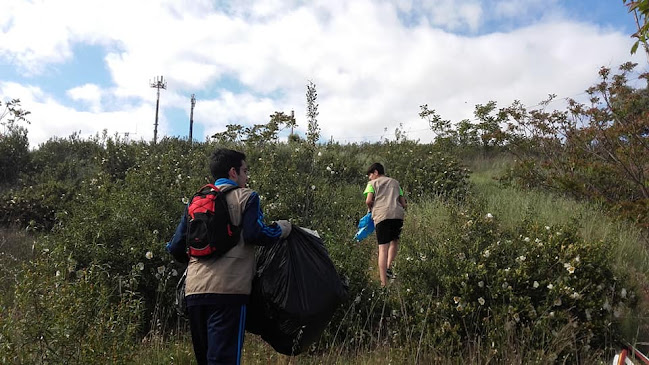 Comentários e avaliações sobre o MDI Trás os Montes (Voluntários Mirandela)