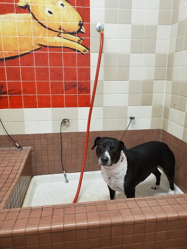 Pet Supply Store «Pet Food Express», reviews and photos, 2531 Fair Oaks Blvd, Sacramento, CA 95825, USA